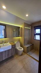 Holland Link (D10), Terrace #466827071